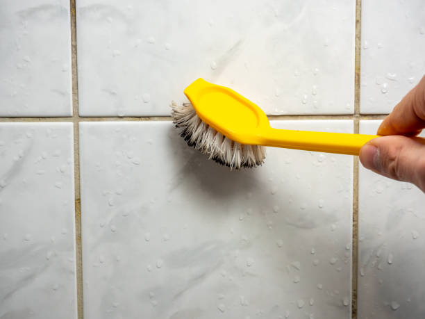 Mold Removal Process in Tabor City, NC
