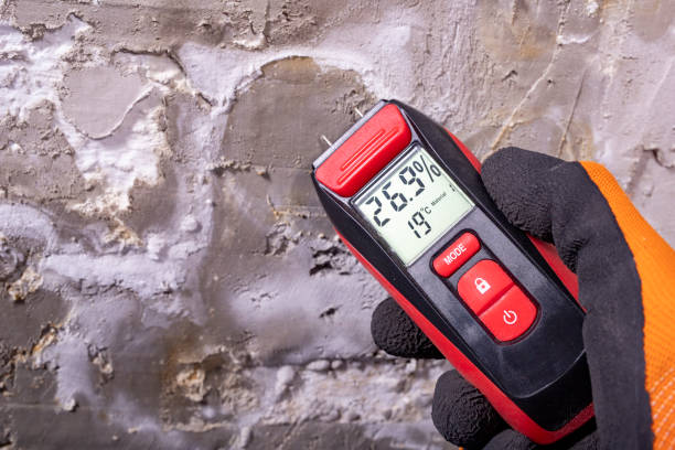 Crawl Space Mold Removal in Tabor City, NC