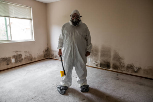 Best Commercial Mold Removal  in Tabor City, NC